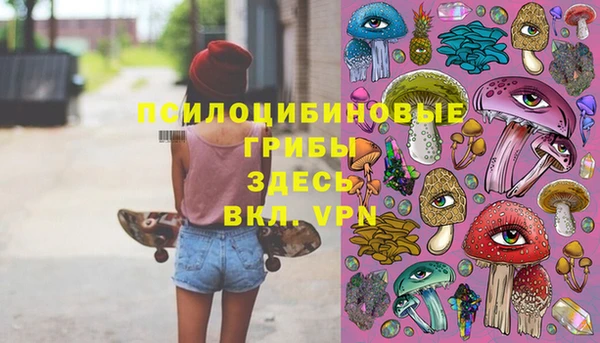 СК Алексеевка