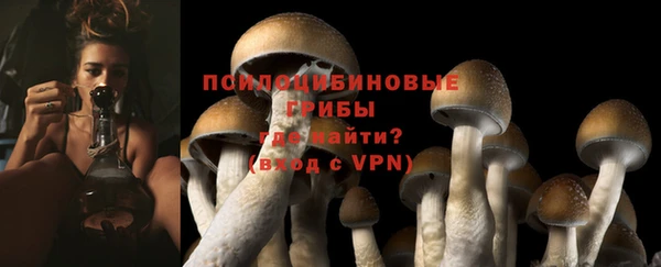 СК Алексеевка