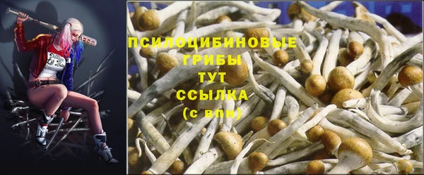 СК Алексеевка